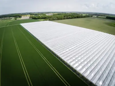 Kirschanlage mit Foliendach