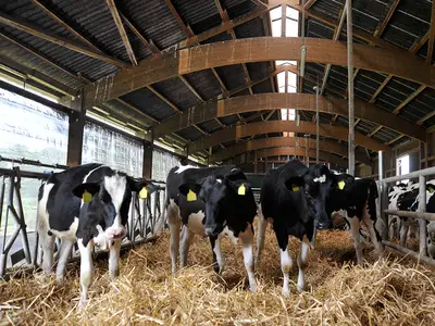 Versuchsstation Braunschweig