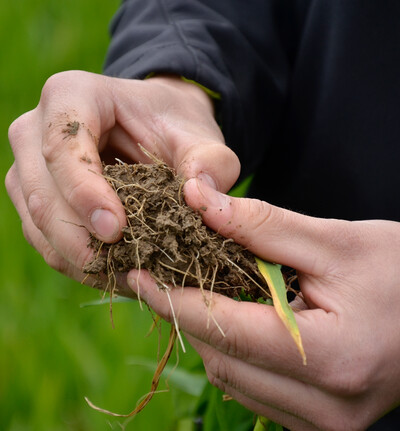 Bilder einer Ausbildung zum Landwirt
