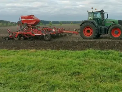 Aussaat Wickroggen