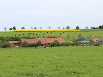 Blick ins sch&ouml;ne Tal mit Sommerweide