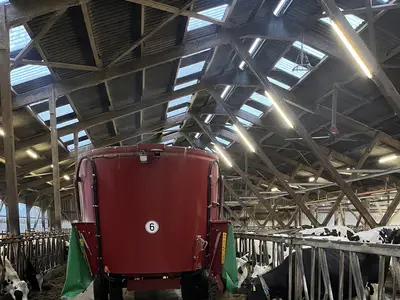 2 x t&auml;glich wird gef&uuml;ttert