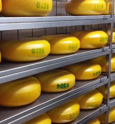 Käse im Lager