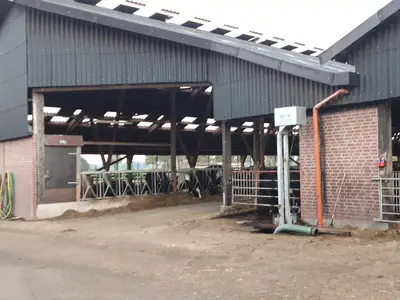 Stall