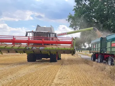 Erntezeit ist die beste Zeit