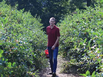Marius