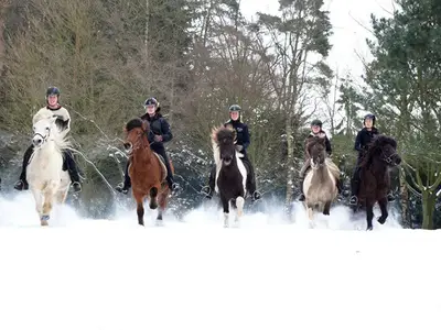 Reiten im Schnee