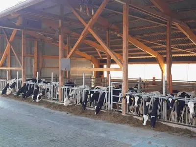 Klockgether und Partner GbR