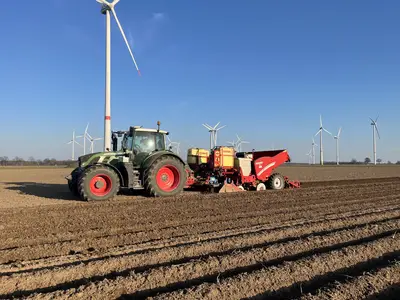 Fr&uuml;hkartoffeln pflanzen