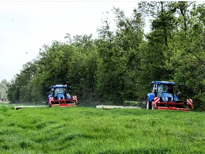 Gras mähen
