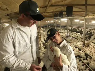 Motivation und Freude beim Arbeiten mit dem Tier