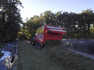 Grassilage fahren