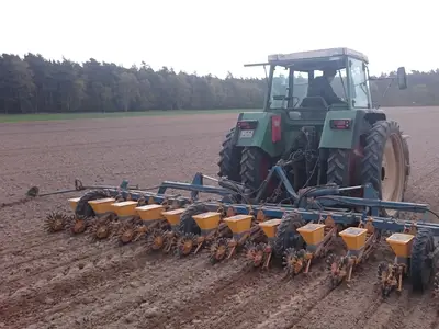 Zuckerr&uuml;benaussaat