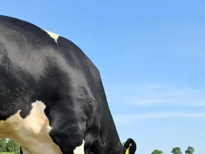 Johann und Wilke Harms-Jan&szlig;en GbR