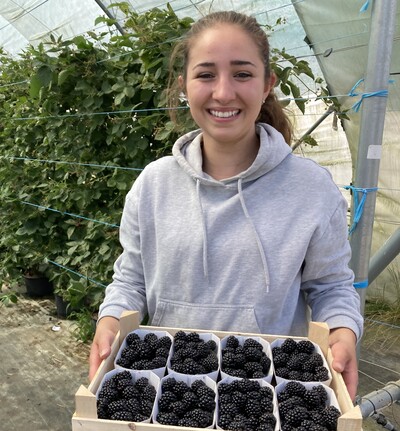 Aktivitäten im Obstbau