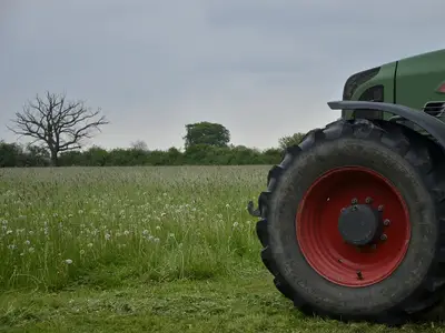 Kurz vor dem Gras m&auml;hen