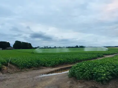 Beide Beregnungen auf einem Schlag