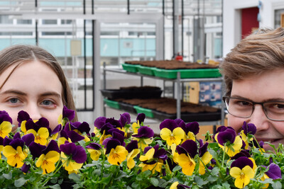 Zierpflanzengärtner*in Ebene