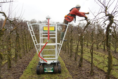 Talente gesucht Relaunch - Obstbau