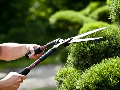 Den perfekten Schnitt von Hand lernst du bei uns