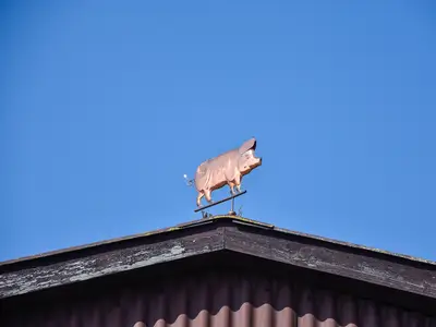 Der Wetterhahn ist hier auch ein Schwein