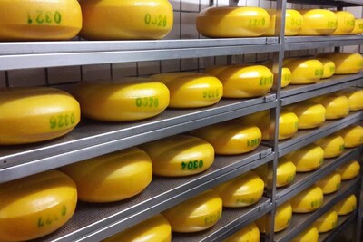Käse im Lager