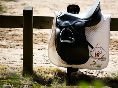 Sattelpflege, Sitz und Aufbau