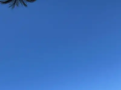 Rinderzucht Ha&szlig;bargen GbR