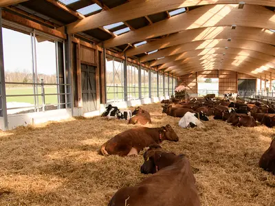 Zum Dorfkrug Landhof GmbH & Co.KG