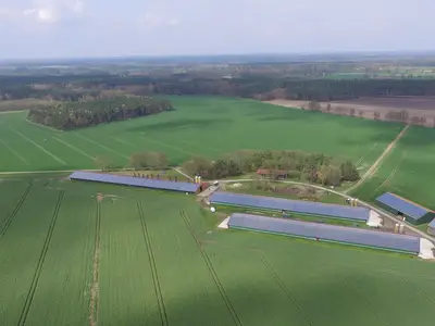 Putenaufzucht-/ Putenmastst&auml;lle