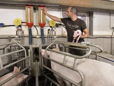 Einstellung der F&uuml;tterung