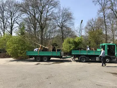 Transport gro&szlig;er Pflanzen