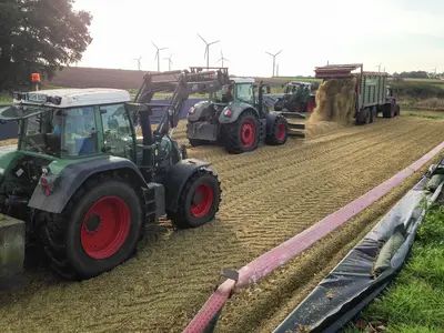 Maisernte auf dem Silo