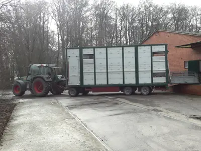 Tiere verladen
