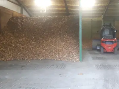 Zwiebel laden