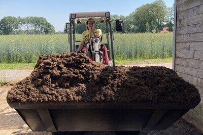 Aktivitäten im Zierpflanzenbau