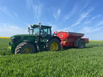 Minerald&uuml;nger streuen 