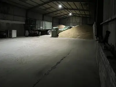 Einlagerung von Saatgetreide in unserer Halle in Ohlenb&uuml;ttel