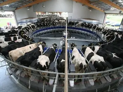 50er-Au&szlig;enmelkerkarussell