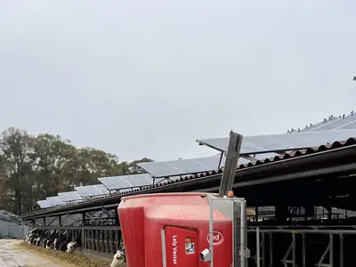 Lely Vector