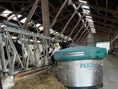 das Futter wird bis zu 10 Mal am Tag automatisch angeschoben