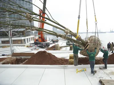 Garten- und Landschaftsbau