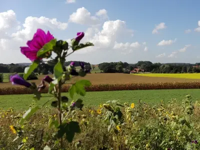 Das Betriebsumfeld im Osnabr&uuml;cker H&uuml;gelland