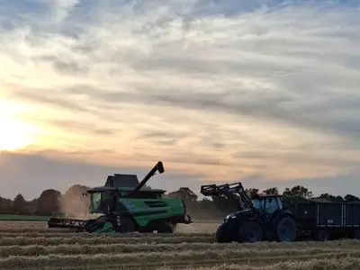 Getreideernte mit unserem eigenen DF M&auml;hdrescher