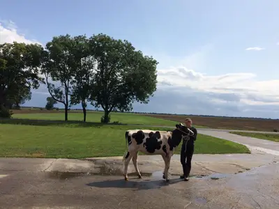 &Uuml;ben f&uuml;r den Vorf&uuml;hrwettbewerb