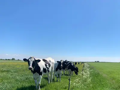 Sonne genie&szlig;en