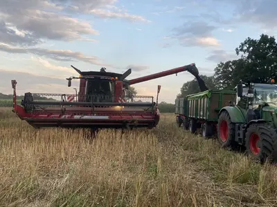 Getreide-/ Rapsernte 