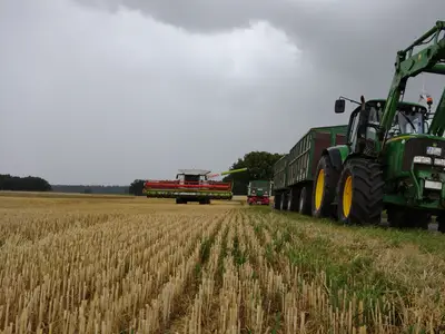 Getreideernte