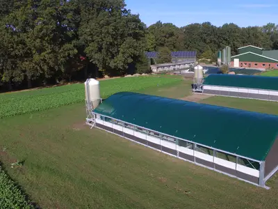 Die Mobilställe vor den Schweinemastställen