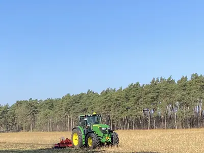 Zwischenfrucht bearbeiten